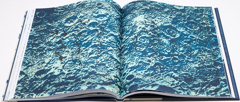 Thirty-Six Views of the Moon by Ala Ebtekar for Radius Books (Review)