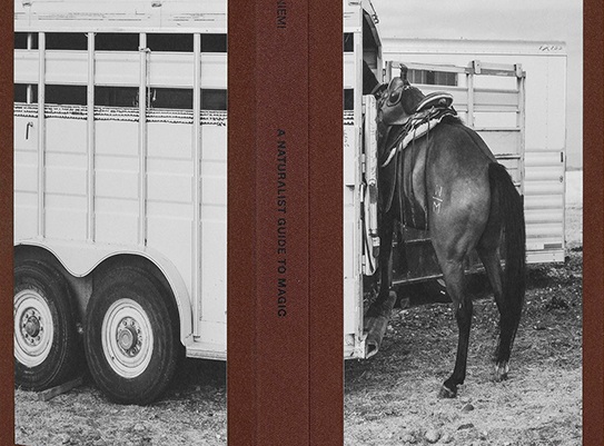 A naturalist guide to magic by Anja Niemi for Skeleton Key Press (Review)