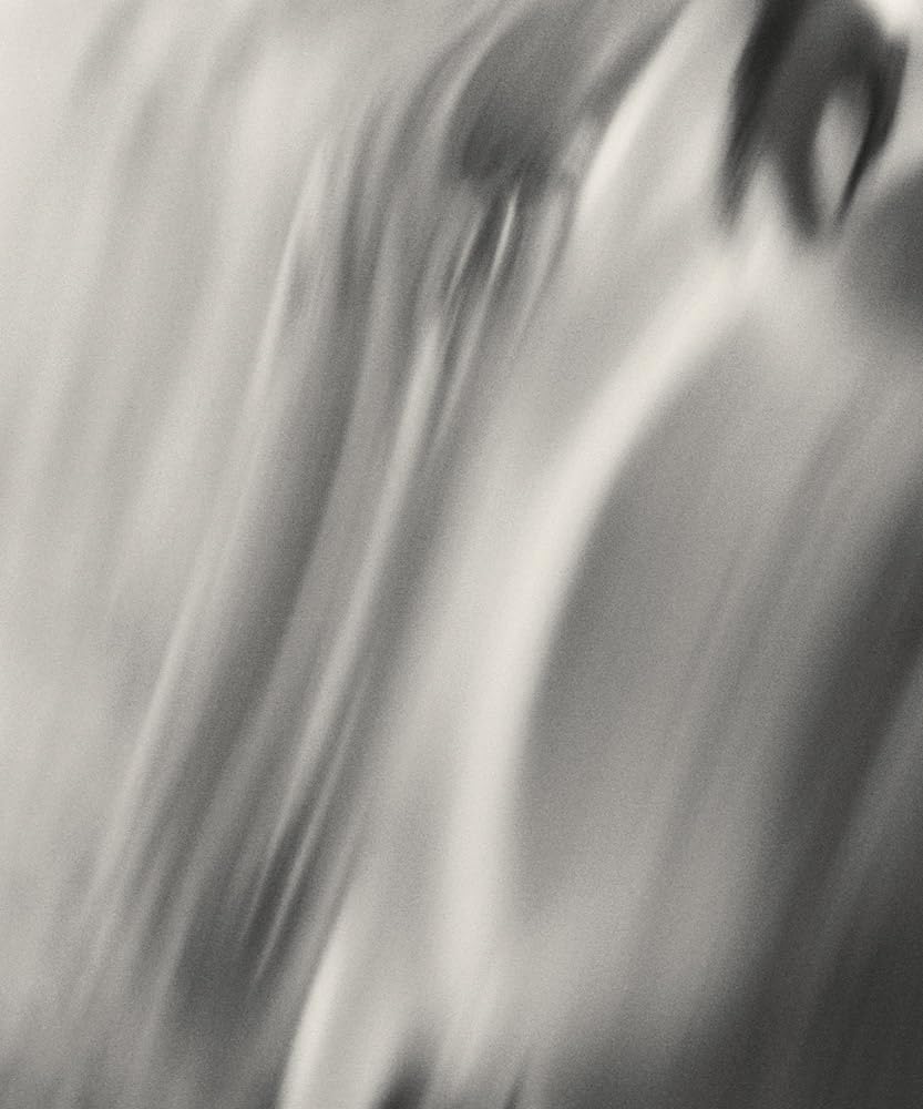 Twelve Acres by Henry O. Head for Twin Palms (Review)